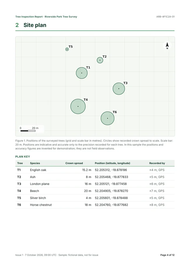 Site plan: six surveyed trees drawn as circles scaled to their crown spread on a grid with a north arrow and a 20 metre scale bar, above a plan key giving each tree's species, crown spread, latitude and longitude, and GPS accuracy. A note says the positions in this sample are invented.