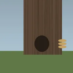 Base photograph of tree T4 showing a cavity